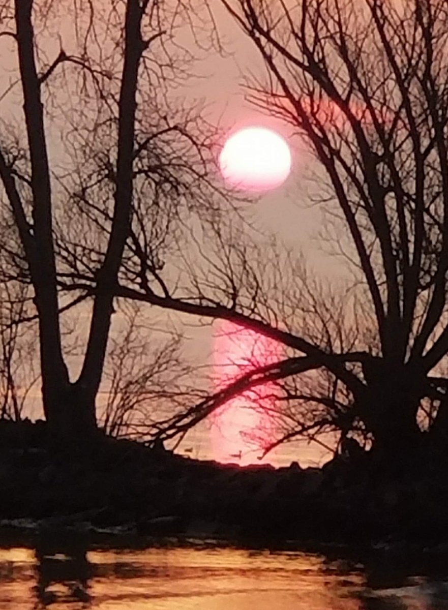 RareCat's tweet photo. Look down from heaven, from your holy dwelling place, and bless your people. Deuteronomy 26:15 #DependOnHim #GlorifyHim #2sDayHatTip @BarryVee @mhennessy5 @soulsistacaro @The1LCheatwood @holler_lori @wxbywilliams @whec_slarocca @spann @Wxandgardenguy @tpmedia @JeremyKappell #HABD https://t.co/UeQJbDXC6J