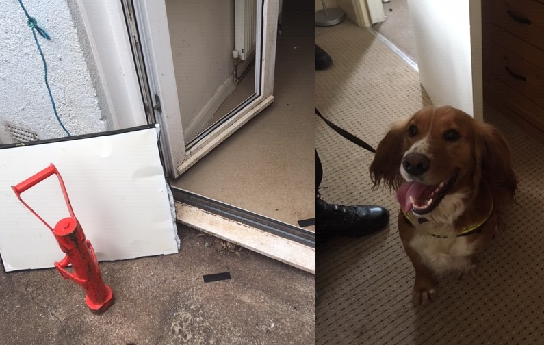 Controlled drugs with a potential street value of £22000 seized today. Brixham &amp; Paignton Policing Teams along with PD Marley @OzziePD executed a drugs warrant this morning, under #OpOlympic Haul now = £688700. #TheNoseKnows facebook.com/BrixhamPolice/…