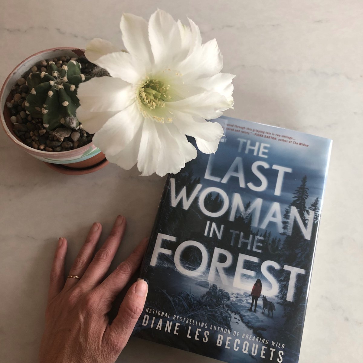 theinsideflap's tweet photo. This week- We talk to @pjvernonbooks about his book #WhenYouFindMe and explain why we all want to be in each other's bedrooms. #scandalous
We also recommend #TheLastWomanInTheForest by @dlesbecquets.
Plus - what it means to be a chicken necker.
https://t.co/7iV5HxIdse https://t.co/Cc8o4cicf8