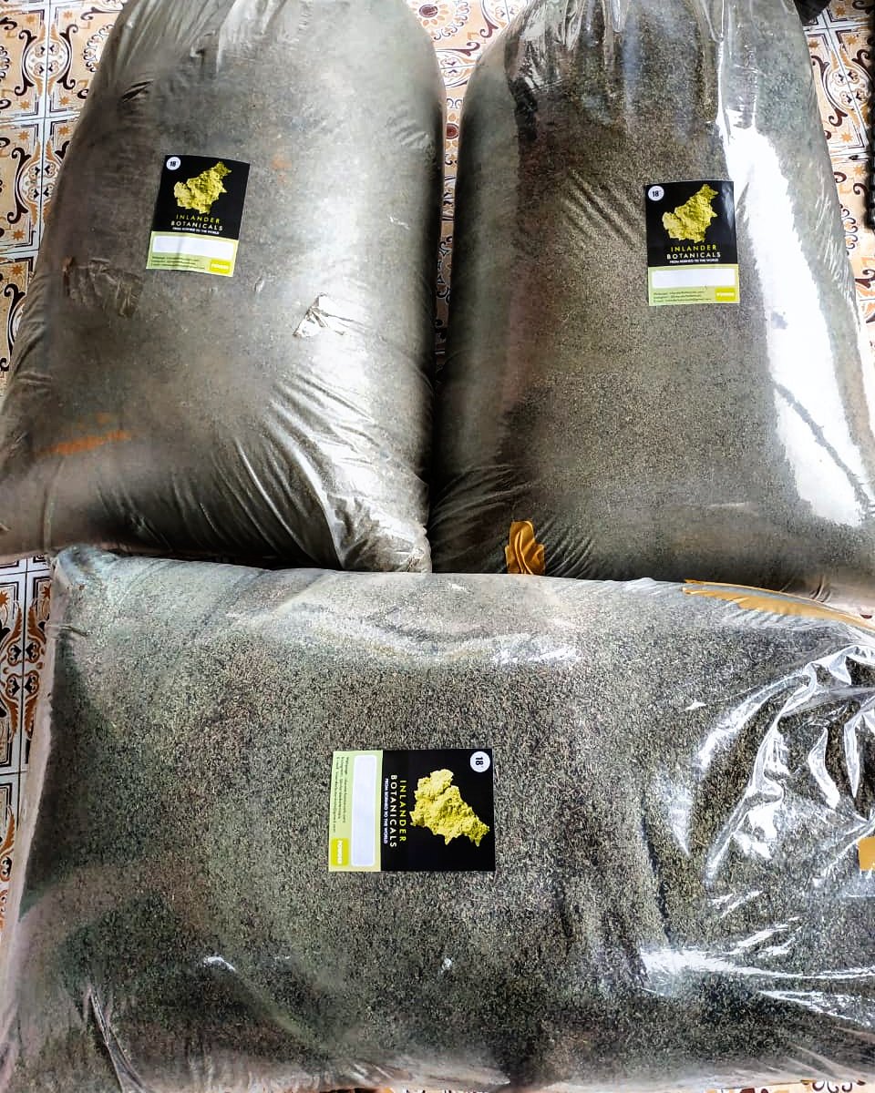 InlanderB's tweet image. We supply kratom cultivated only in Borneo, where the land yields stronger strains than other regions in South East Asia. As for the variants, we have the White, Green and Red kratom at our disposal. Lastly, please let us know if you are interested in our offer. #kratom