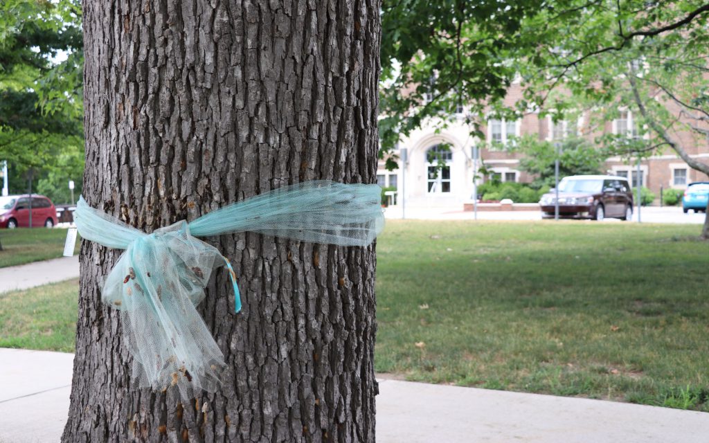 Tonight at 5:30 pm: "Repair: Art, Ceremony, and Healing in the Shadow of Violence," at the MSU Museum with Alexandra Bourque of <a href="/brightlytwisted/">brightlytwisted</a>, Jordyn Fishman, <a href="/vvonfrank/">Valerie von Frank</a>, <a href="/itstrinea/">Trinea Gonczar (she/her)</a> and many more. museum.msu.edu/?event=repair-…