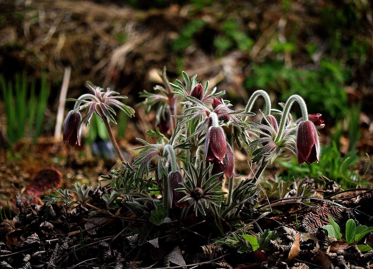 인생,
뭐 그리
힘들게 사시나요?
소풍가듯 가볍게,
쉬엄쉬엄
즐겁게 살아 보세요.
-소풍가듯가볍게-중에서