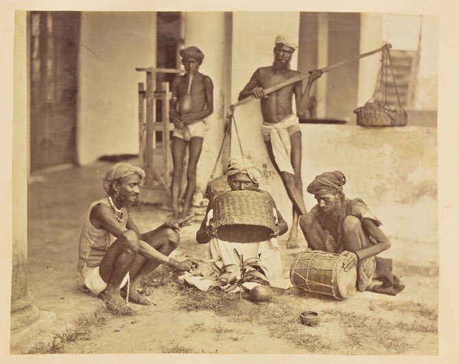 Hemant on Twitter "The Indian Mango Trick, 1873. I didn’t know about