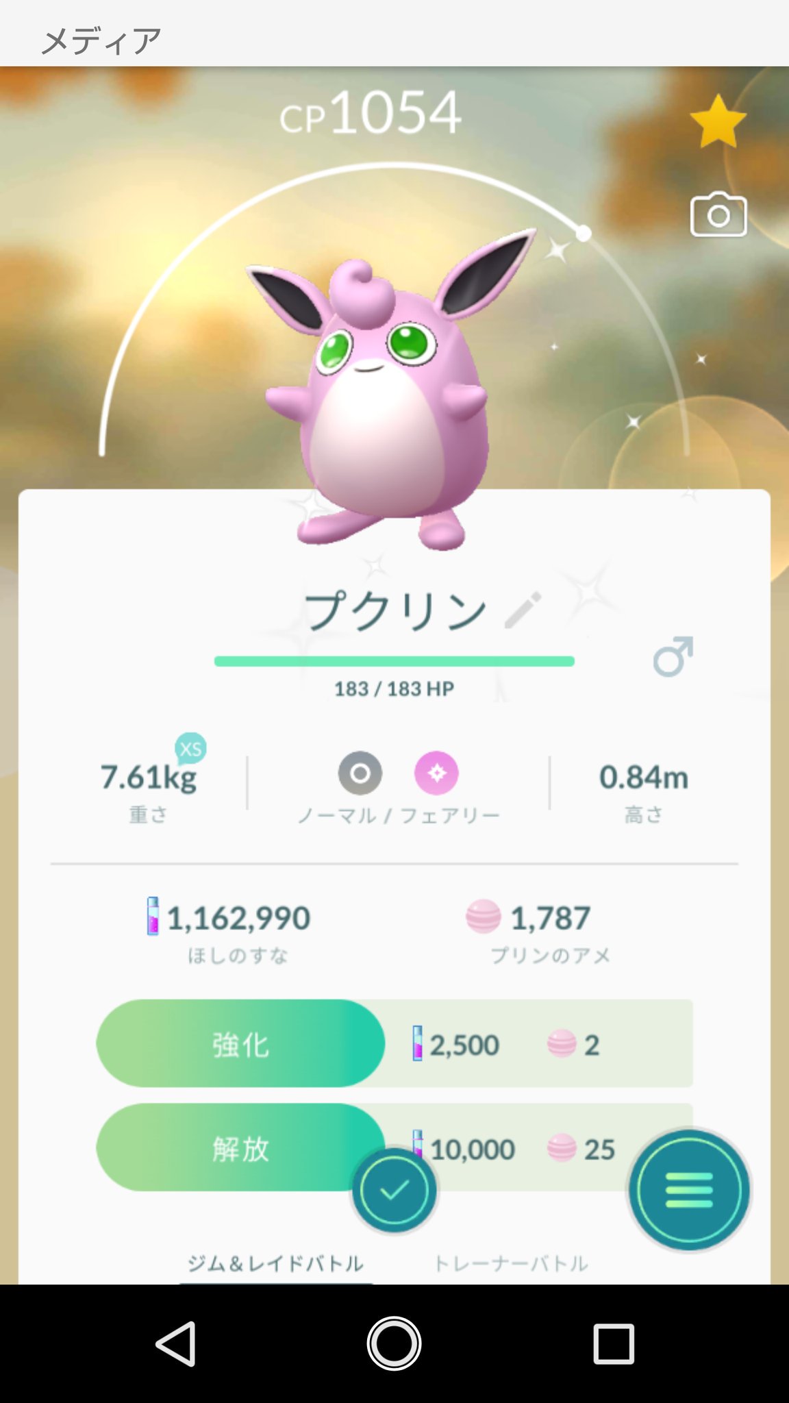 プクリン色違い Twitter Search Twitter