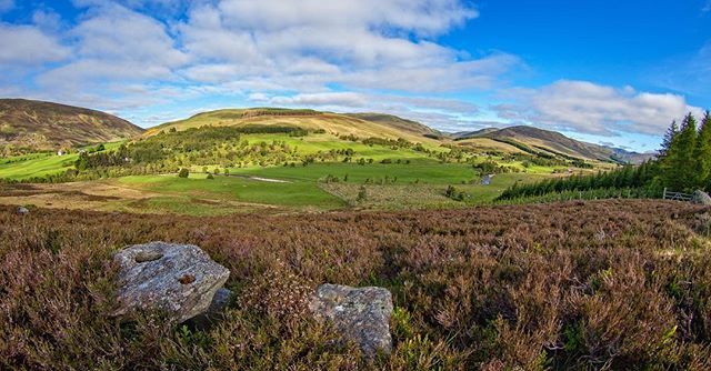 Joe Lafferty tweet media