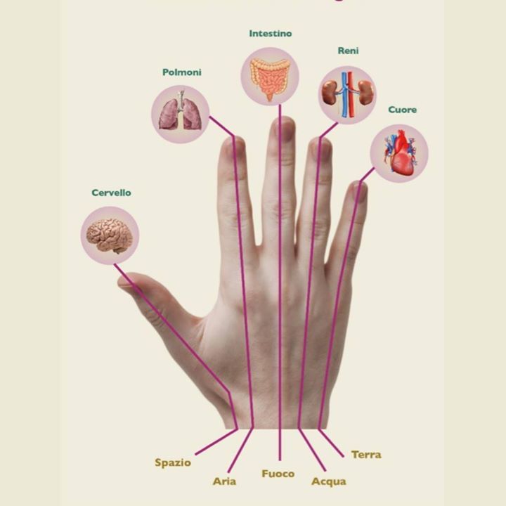 ShantiDevaCh's tweet photo. #ayurveda #ayurvedic #lugano #cantonticino https://t.co/aP8Q3GGVeq