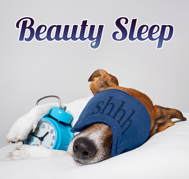 IVBOOSTUK's tweet photo. There's a reason it's called "beauty sleep" -- your body regenerates itself while you're off in slumberland. So, make sure to get plenty of sleep every night to stay healthy.

https://t.co/zL8ZFV7Bng

#HealthyLiving #Tip https://t.co/6apo8QK730