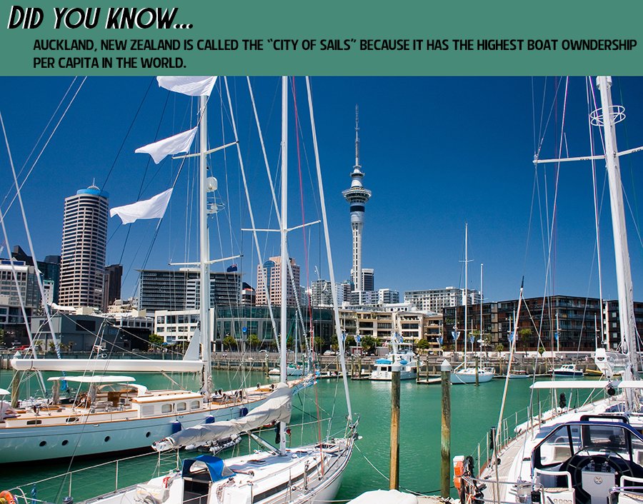Auckland город city of sails. В какой стране находится город парусов. Новозеландия окленд. Новая зеландия веллингтон окленд. Окленд набережная.