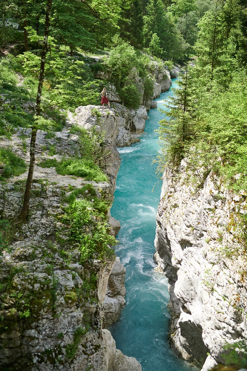 Feel Slovenia tweet media