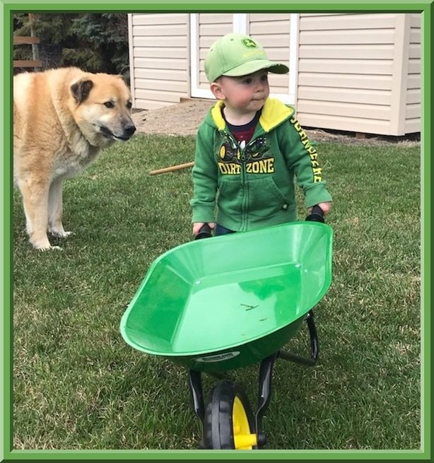 greenlandequip's tweet photo. NOW THIS IS HOW SPRING CLEAN UP IS DONE! Thanks Parker 💚 #plant19 #solutionsforthefuture https://t.co/fooE0vM38v