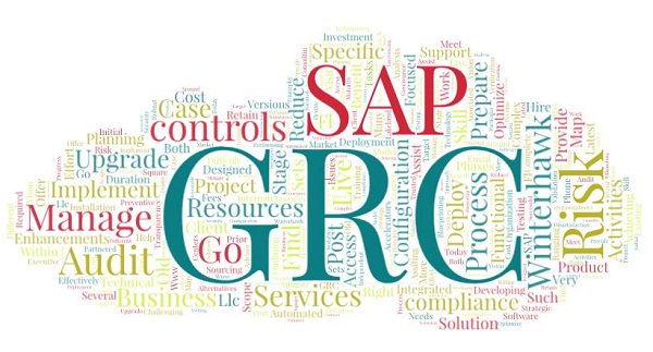 WH_ConsultingUS's tweet photo. As a global #SAP Silver Partner with recognized expertise in #GRC,  Winterhawk Consulting is the perfect partner for addressing any of your #Governance, #Risk or #Compliance needs.  Contact @WHCDanMurphy at 847-450-3338 to discuss any of our service offerings. https://t.co/iwTrpKHjYw