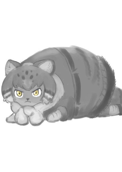 国際マヌルネコの日のtwitterイラスト検索結果