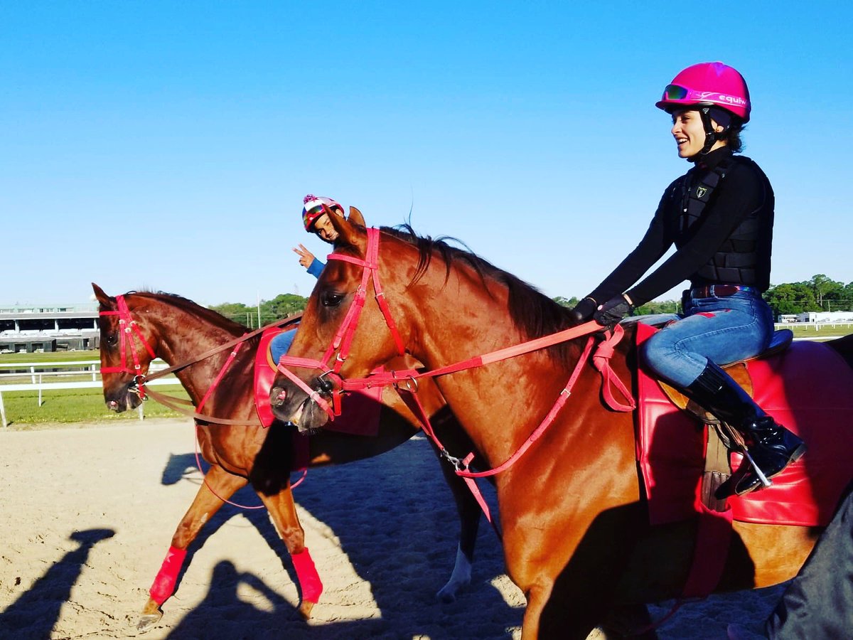 equiwin's tweet photo. Buenos días ✌🏼🌞. 
#equiwin #wotkout #horse #horselove #training #morning #femalejockey #instadaily https://t.co/n9wUFbrBe0