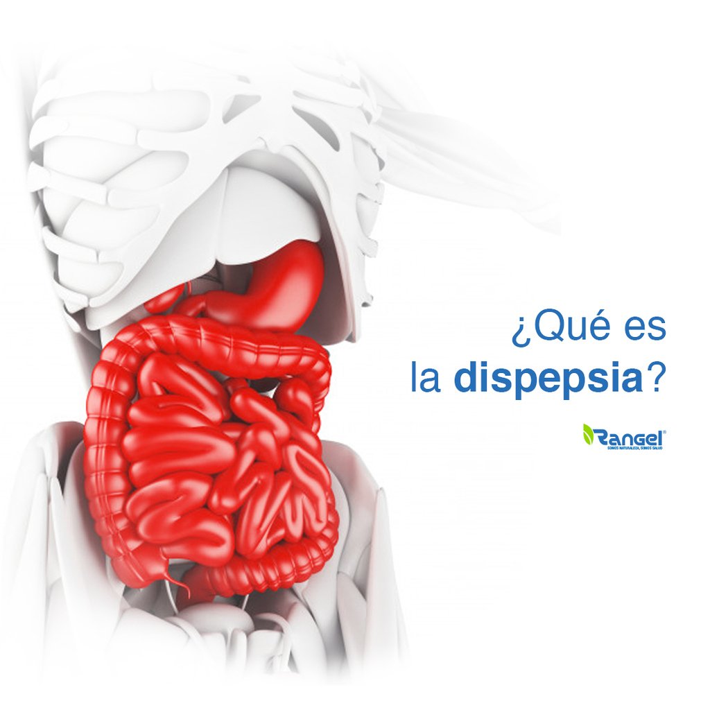 Labsrangel's tweet photo. En ocasiones comer en demasía o comer alimentos muy condimentados y grasientos nos causan dolor estomacal, náuseas, ardor o reflujo este conjunto de síntomas tiene un nombre, dispepsia. Infórmate sobre los síntomas, causas y tratamiento leyendo este blog. https://t.co/QhZ5H6Sd5P