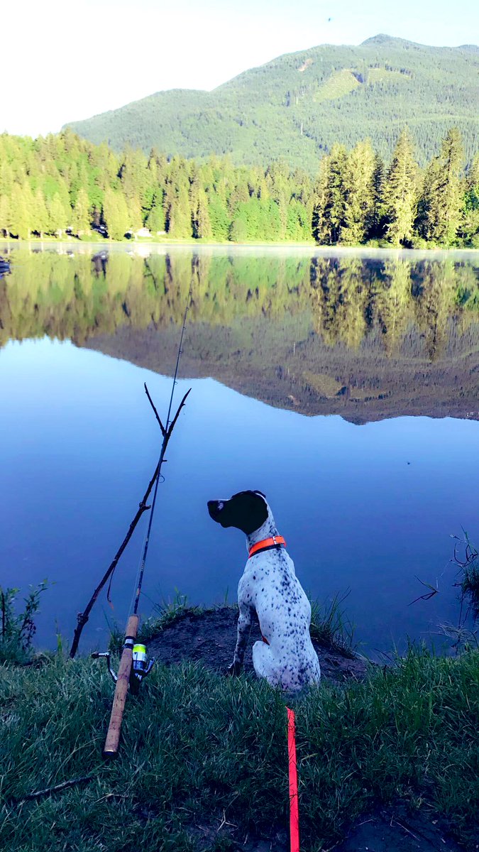 BirdSlayer3's tweet photo. When Gunners not hunting he’s fishin 🎣 #Birdslayer https://t.co/lAGiJj8i7M