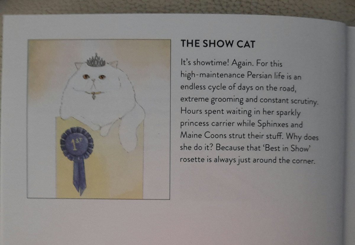 The Show Cat