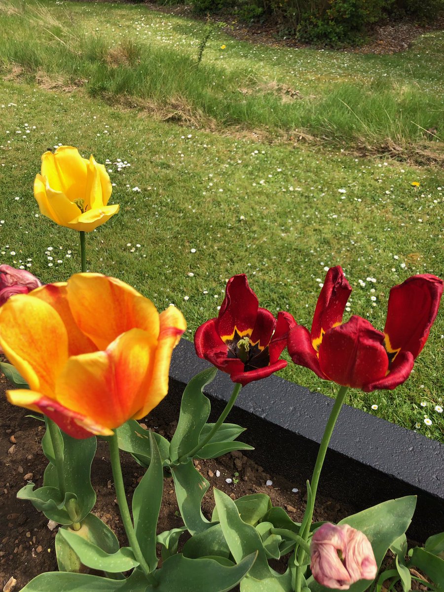 Our beautiful garden <a href="/BiltonCourt/">Bilton Court</a>