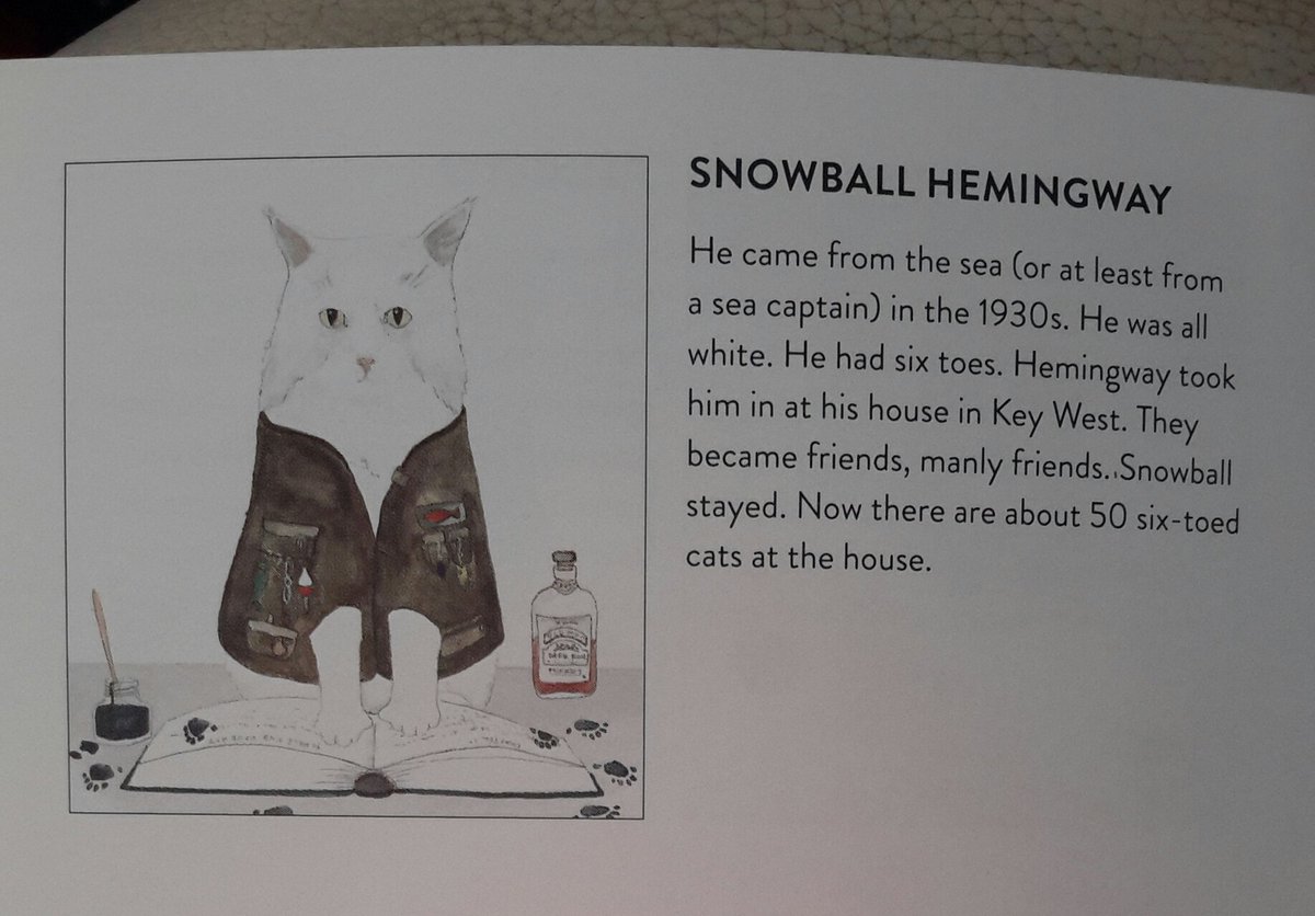 Snowball Hemingway