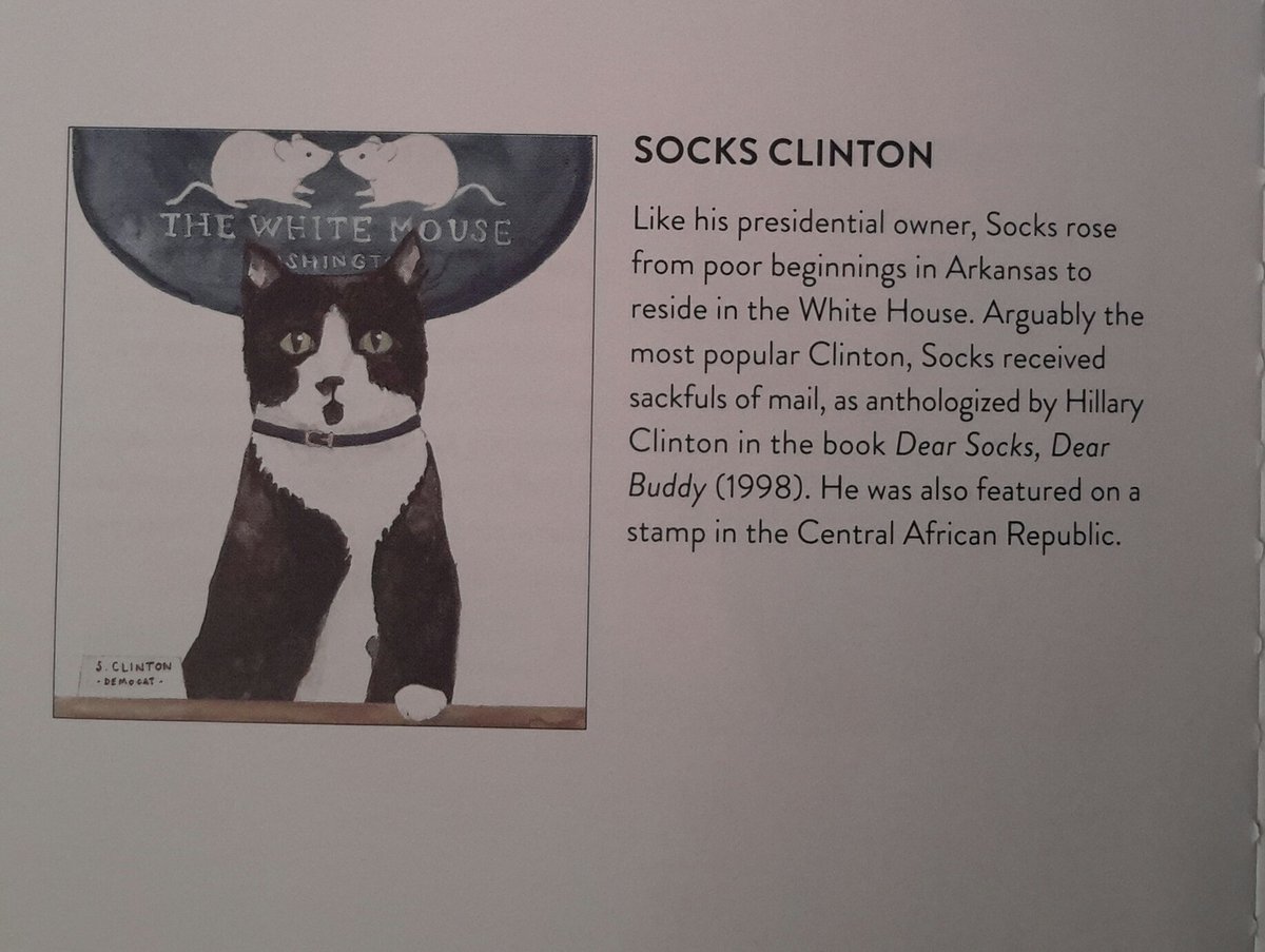 Socks Clinton