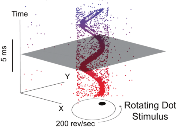 davsca1's tweet image. Excited to share our survey paper on Event-based Vision arxiv.org/pdf/1904.08405 25 pages about everything you always wanted to know about event cameras and algorithms! Coauthored with other 10 event camera experts! @StefanLeuteneg1, @AjdDavison, @KostasPenn 
#DVS #eventcamera