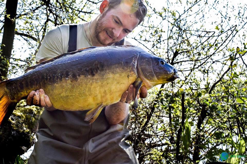 AbilityTackle's tweet photo. ***Ability Tackle Catch Report***
Ability Tackle social media consultant Liam Woolcott has had recent success on his Syndicate.

Well done Liam.

Have you got the Ability?
Get it at
https://t.co/2gZw8LGJnp https://t.co/Pi1SnZ4IpC