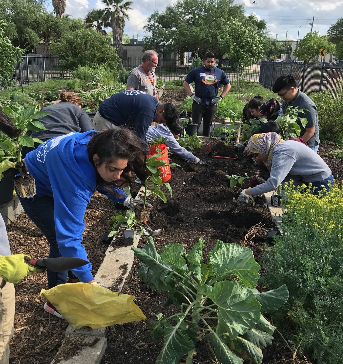 The first week of the Young Agri-Business Leaders of Houston program at @YESPrep Gulfton was a success! Participants completed the two learning modules and got their hands dirty at the Southwest Multi-Service Center community garden. houstonhealthfoundation.org/our-programs