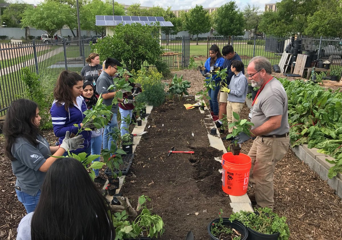 HoustonHealthFD tweet media