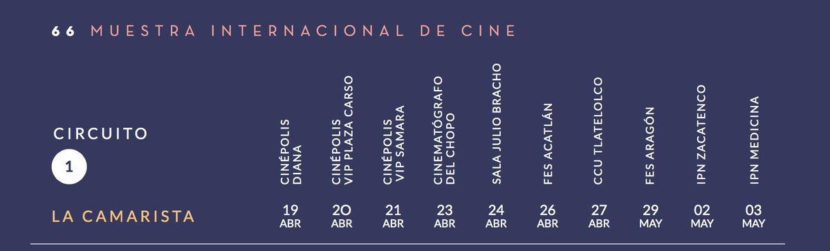 bambú|audiovisual tweet media