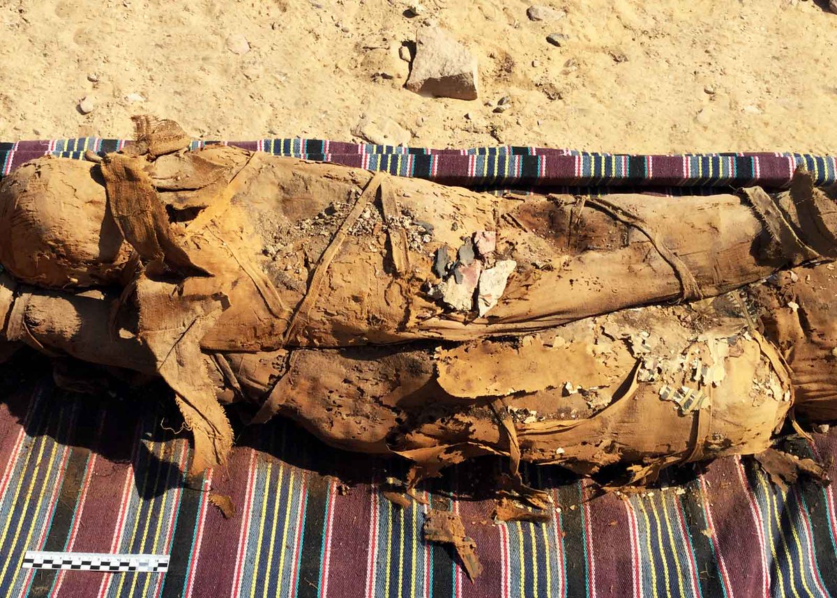 LaStatale's tweet photo. 35 mummie, sarcofagi, vasi e 'cartonnages', pronti per diventare maschere funerarie: la straordinaria scoperta durante la campagna di scavi in Egitto, diretta da Patrizia Piacentini @LaStatale e da Abdelmanaem Said del Ministero delle Antichità egiziano 🔎https://t.co/uih3LXTqH5 https://t.co/AfYwatsRhJ