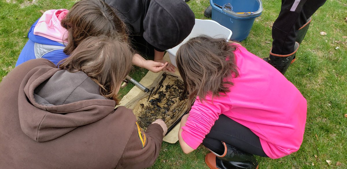 kw5huskies's tweet photo. Had a great  time  at Salt Creek  in Fullersburg  Woods stream monitoring https://t.co/ZjVP5amuo0