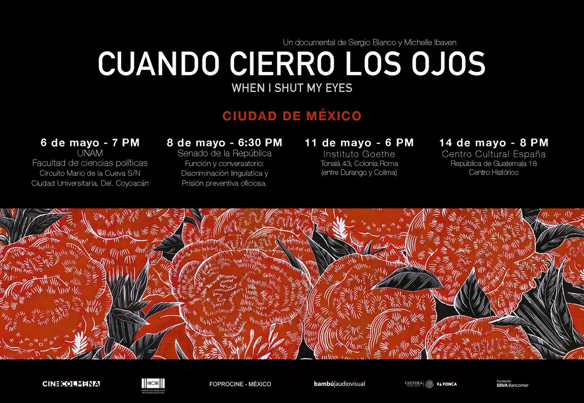 bambú|audiovisual tweet media