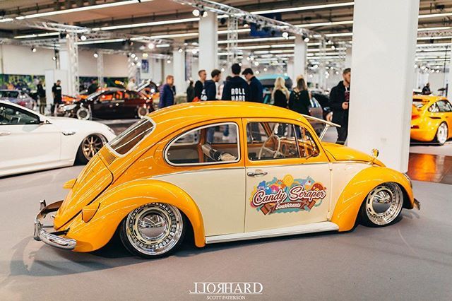 RollHard tweet media