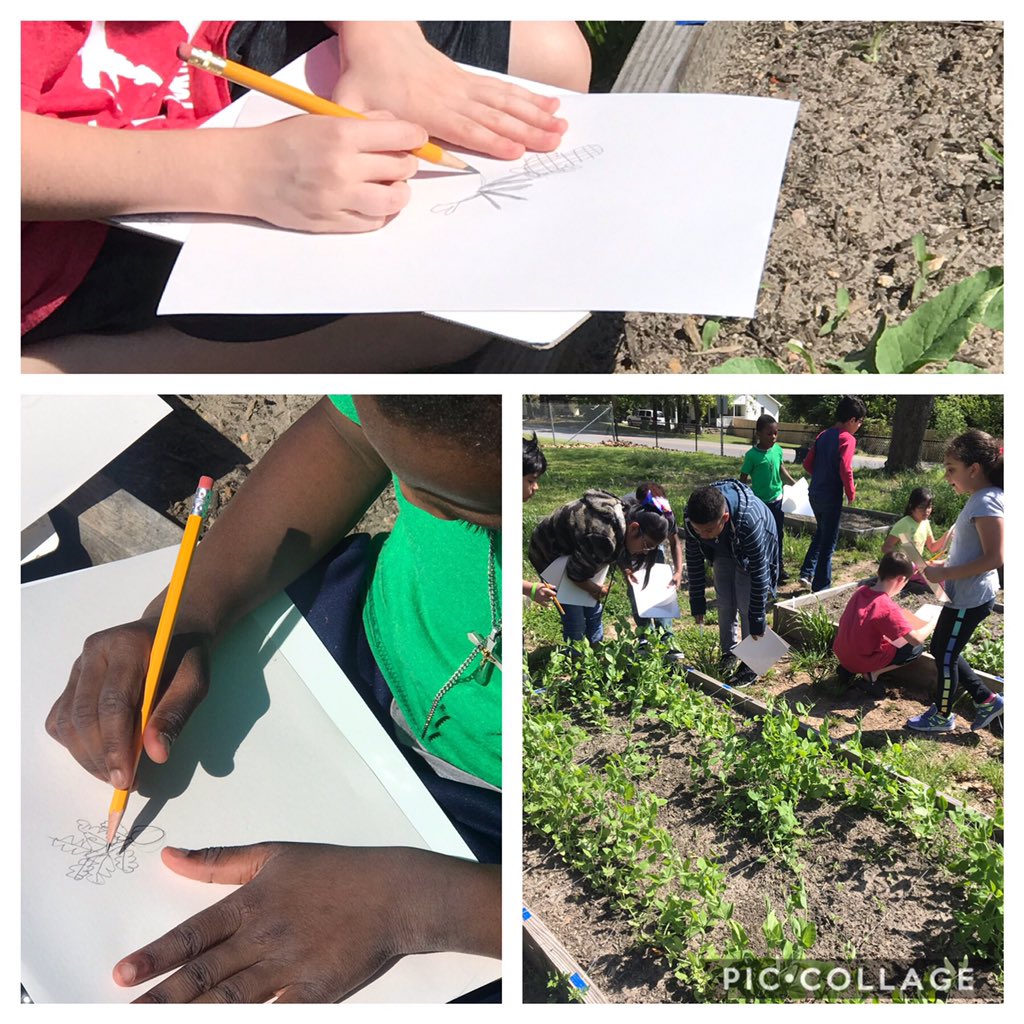 Ms_Wilder_LHES's tweet photo. After our PD yesterday and all the fun we had together as a staff @LHECMES I had to use one of the activities from #projectlearningtree with my students today #environmentalactivities #environmentalschool https://t.co/xtUA9NPg8r
