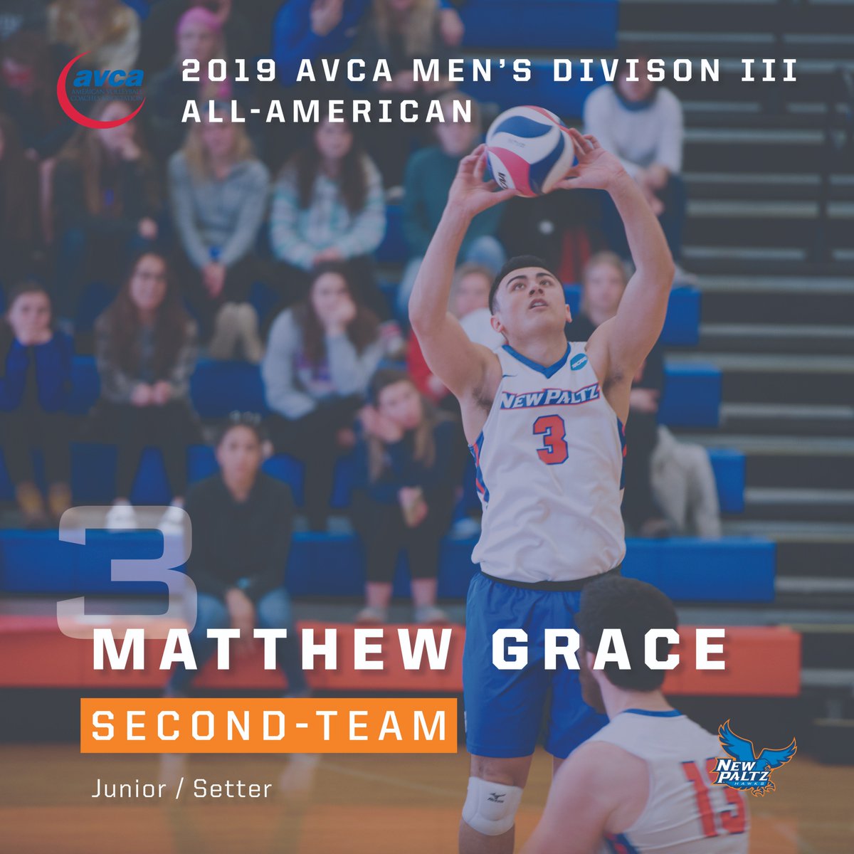 New Paltz Hawks tweet media