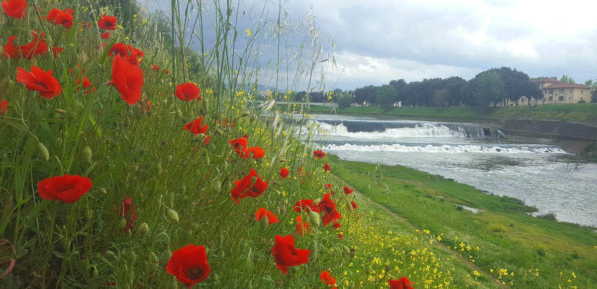 ProfJaneWalsh's tweet photo. River trails in #Florence - I never take for granted how lucky I am!! #AttitudeOfGratitude #LoveSoloTravel https://t.co/HNjrR0QKLB