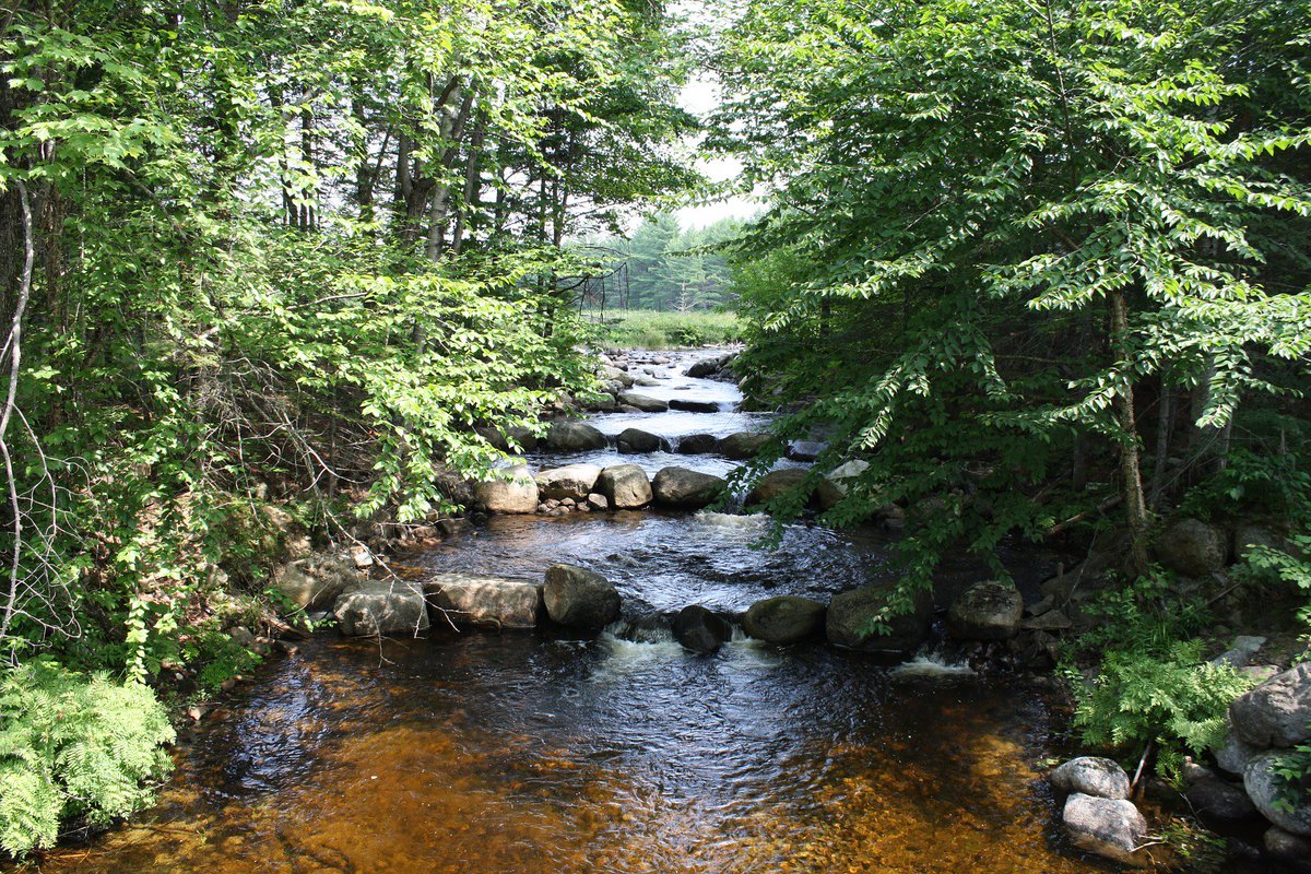FishWildlifeON's tweet photo. Spring fish sanctuaries are not always signed. Sanctuaries are in place to protect breeding fish populations. Check the regulations for sanctuary locations in your fishing area: https://t.co/G11M0ZHZuH https://t.co/fE2qP3A7Lc