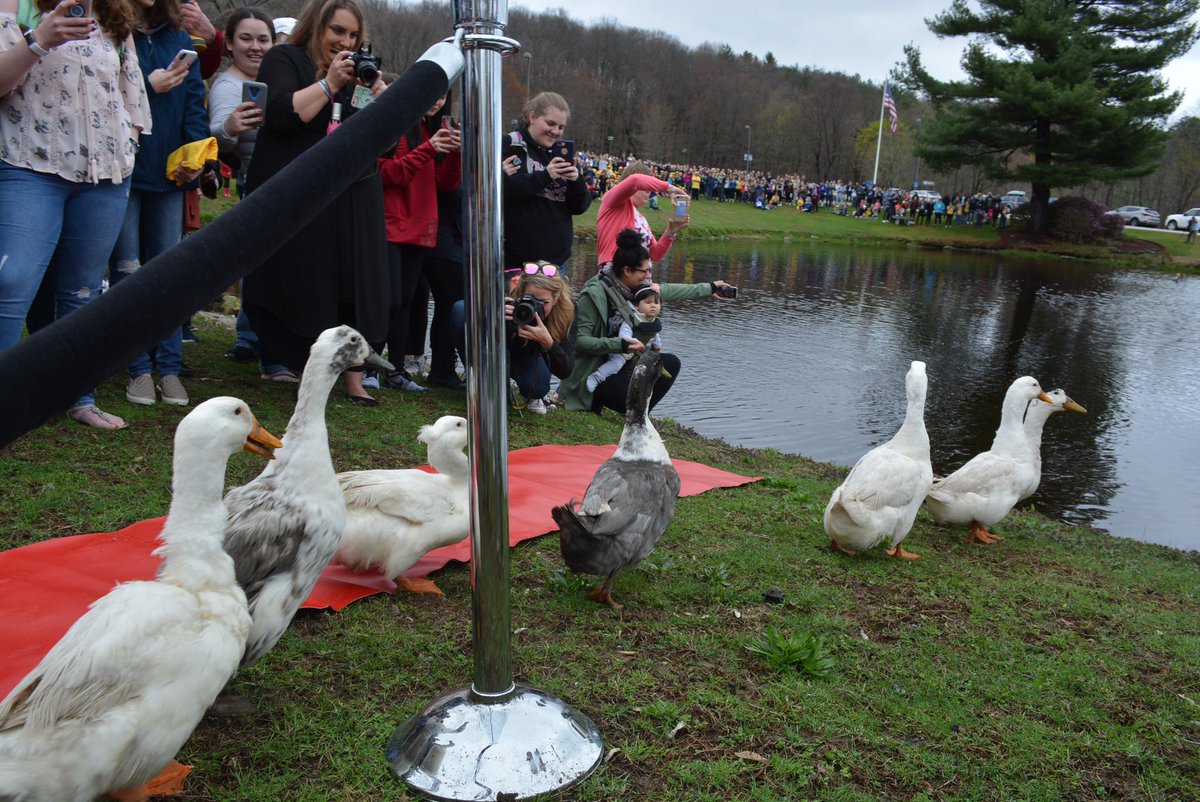 AssumptionUMA's tweet photo. #DuckDay2019 was a success! 🦆🦆🦆🐾 welcome home, Hound-ducks! #Assumption #DuckDay https://t.co/CaPCvlIXvx