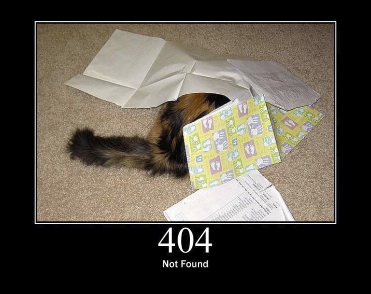 onuriart's tweet photo. http statü kodlarına bir de bu açıdan mı baksak? :D

https://t.co/1FfuBI14mb 🐈

#httpcat https://t.co/2DXN6jjB6H