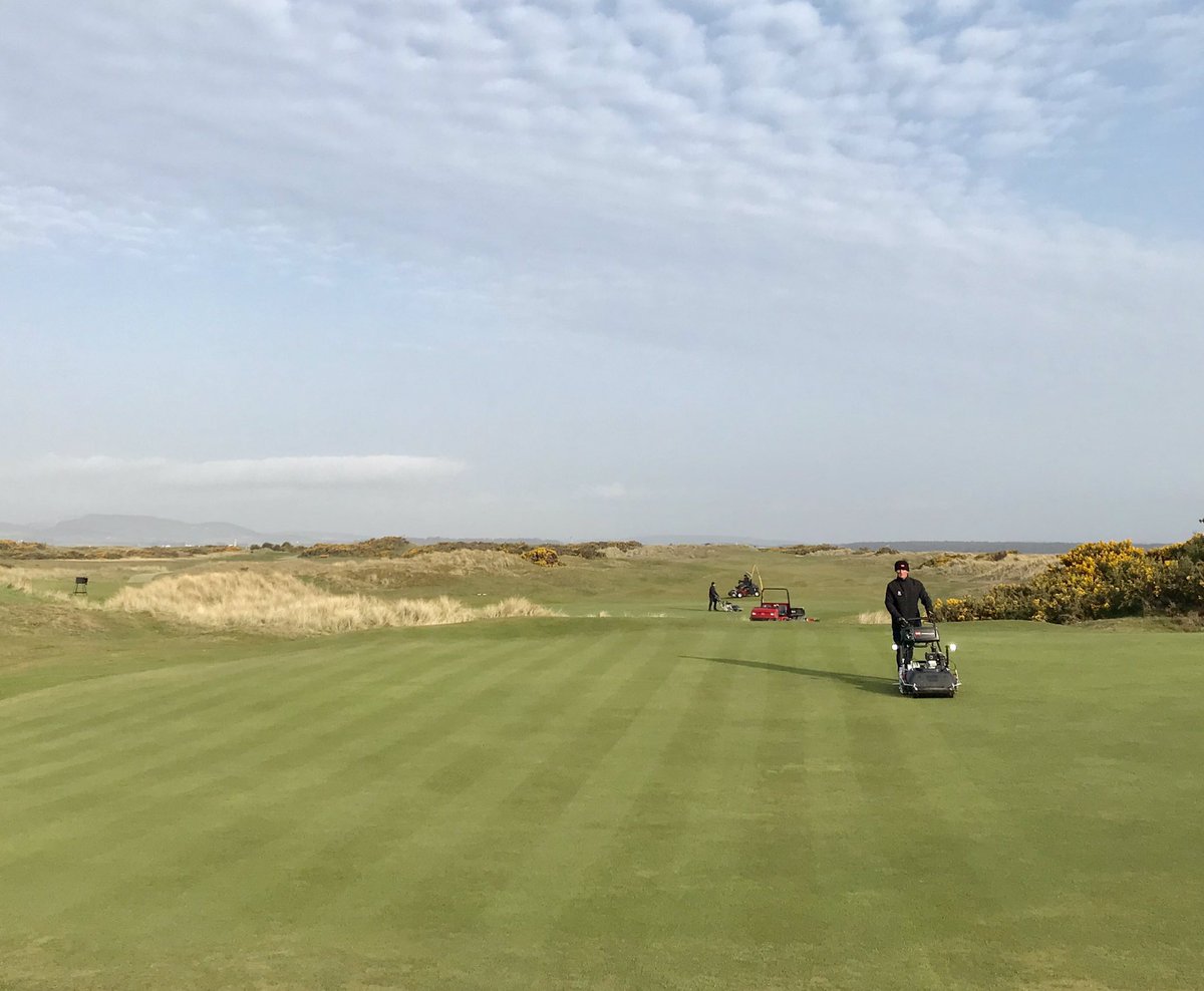 GavNeill's tweet image. First outing for the @TheToroCompany flex 2120s this morning on the New Course @TheHomeofGolf #surfacerefinement #brush #cut #growth #recovery #GDD #springhassprung ☀️☀️
