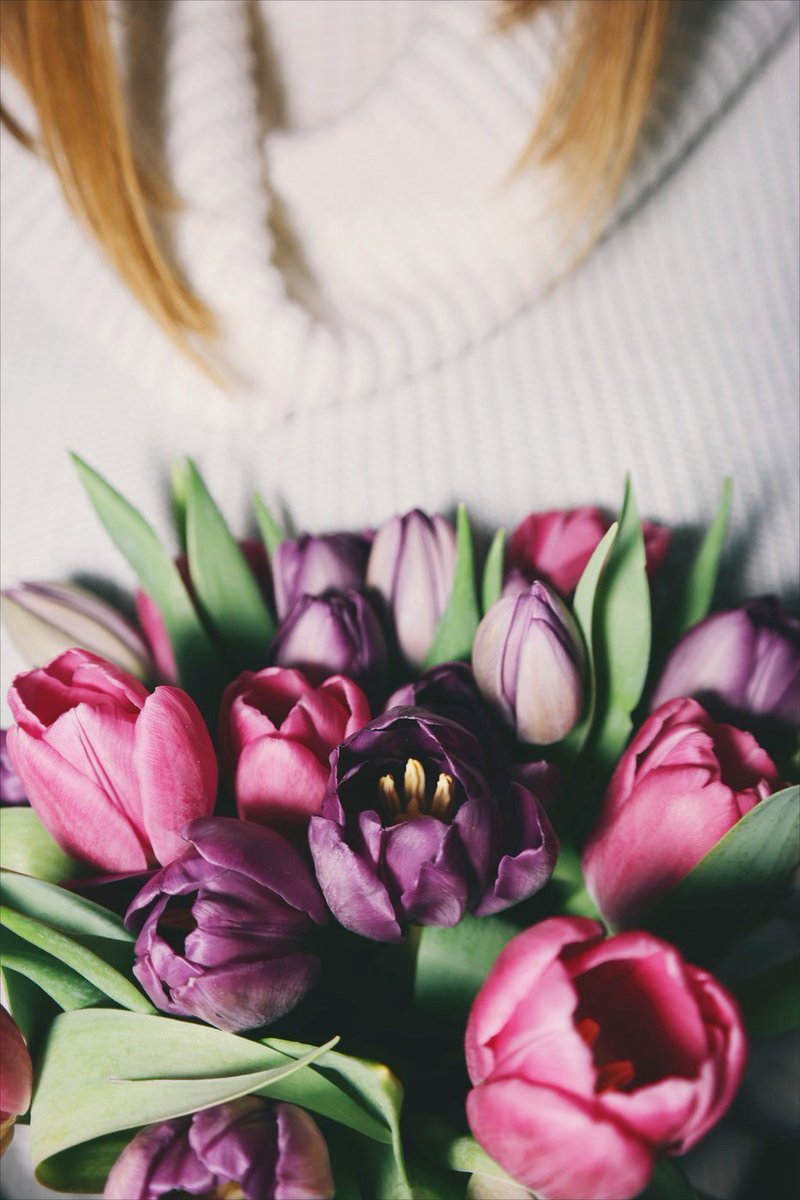 Bloomex_canada's tweet photo. As a proud supporter of #PancreaticCancerCanada, Bloomex is thrilled to announce a new #GetandGive campaign! 🌷

Sign up &amp; SAVE 20% on purchases made at https://t.co/yqJxekPCBJ. 
Plus, #Bloomex will donate 5% of each purchase to @PanCancerCanada

Sign up: https://t.co/gW42q8X8Kt https://t.co/crJ5ATfQV8