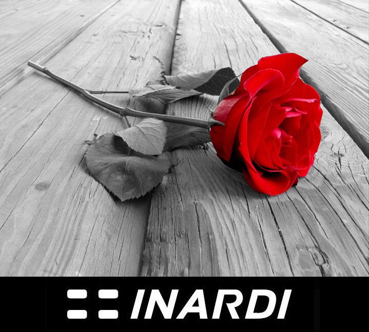 Feliç Sant Jordi!
#SantJordi #StJordi #Rosa #Llibre #SantJordi2019 #SantJordi19 #Sabadell #Barcelona #instacar #Inardiautos @Inardiautos