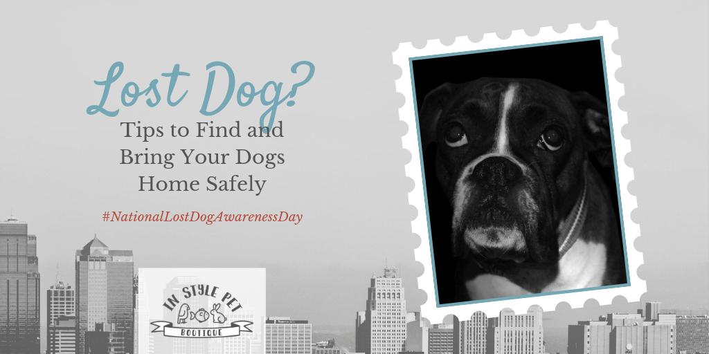 InStylePet's tweet image. It&apos;s National Lost Dog Awareness day. Do you know the best way to bring your furbaby home? Check out these tips from the Humane Society of the United States.  buff.ly/2CByQu5 #NationalLostDogAwarenessDay