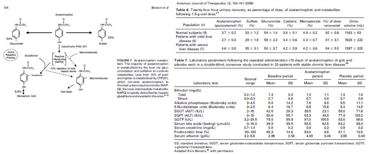 Although APAP OD is, @ lower doses it's safest analgesicSpeed limit=2-3g/d (I use 2g)Wouldnt push it but take solace in: Fig1: Tylenol tox=NAPQI>Glutathione (CYP2E1)Fig2: Tho ppl assume cirrhosisglutathione, normal metabolism preservedFig3: 1 reason:cirrhosisCYP2E1