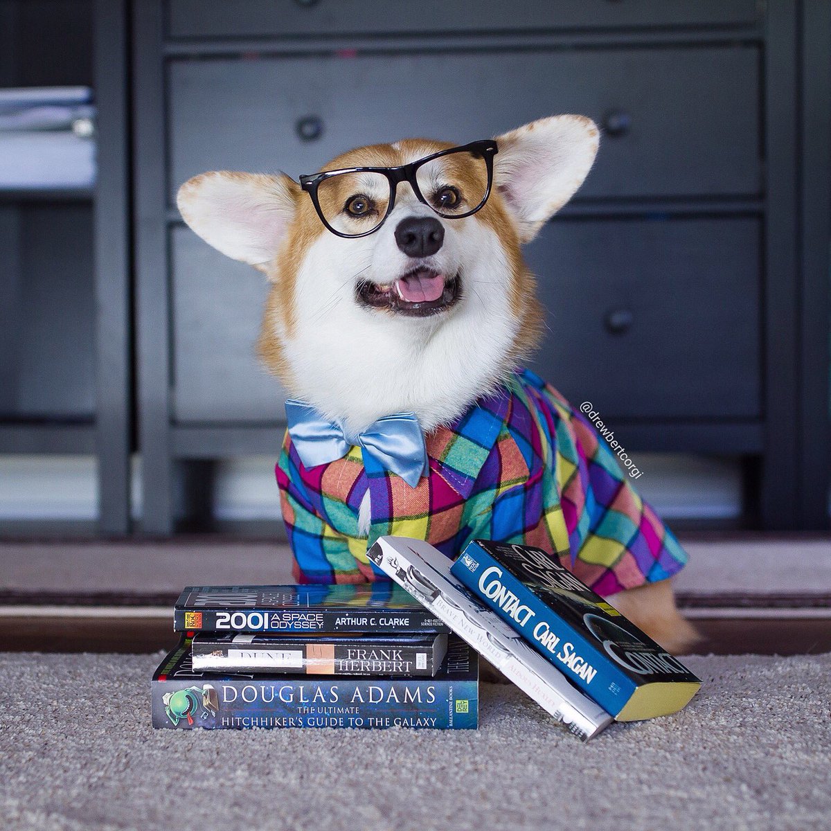 Happy World Book Day! Reading is one of the best adventures you can have.

#Drewbert #Bookbert #WorldBookDay