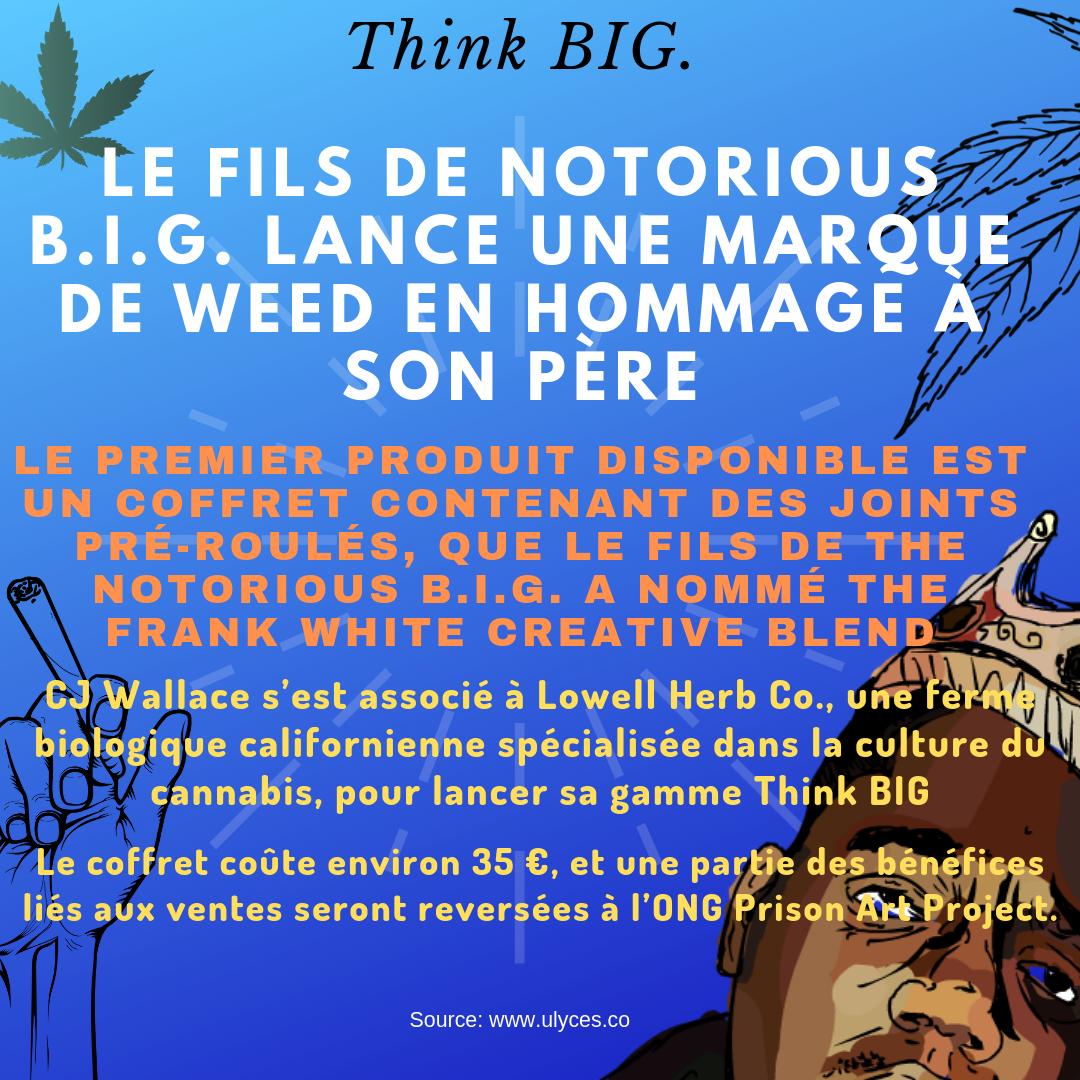 FrancophoneWeed's tweet photo. Source: https://t.co/SLaEpUijYZ
Notorious B.I.G.'s son launches a weed brand in homage to his father
#terps #cbd #cannabidiol  #cbdfrance   #cannabinoids #fullspectrum #growshop #vaporizer #HEMP #grainesdecollection #weed #extraction #chanvre  #weed #cannabis #marijuana #THC https://t.co/t3nASGabup