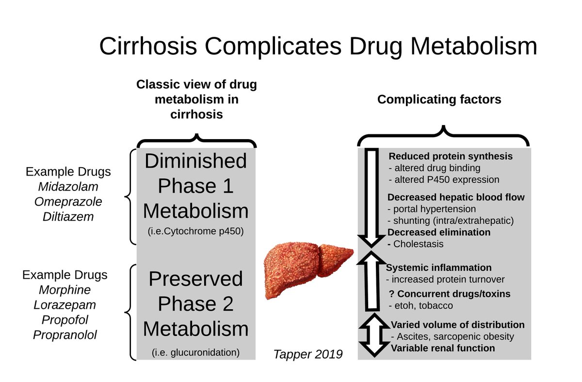 Face the facts: drug metabolism in  #cirrhosis is COMPLICATED #cirrhosis takes what u know about PK/PD & FLIPS THE SCRIPT (Fig1-2)Think u know CYPP450? Wrong! Each CYP varies w/stage, etiology, & the presence of cholestasis(Fig3)How about glucuronidation? Jacked!(Fig4))