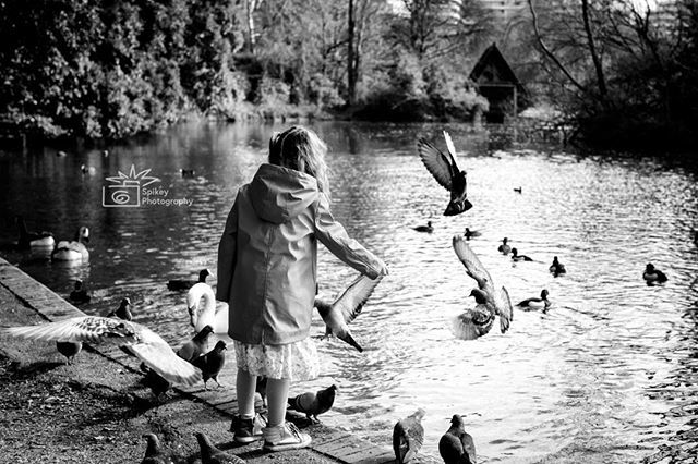 Feeding the birds 🐦🐦🐦
*
*
*
*
*
#childrenportraits #bnw_stop #jj_blackwhite  #childrenphotography #candidchildhood #londonfamilyphotographer #blackwhite_perfection #birds #bnw #bnw_rose #bnw_magazine #girl #moments #bnw_planet2019 #bnw_kids #precious… bit.ly/2GCyrti