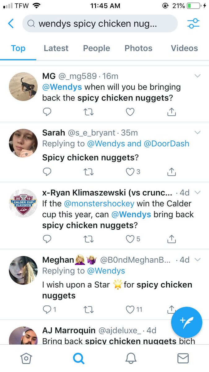 Elizabeth tweet media