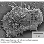 Photo by MGH Center for Systems Biology (@MGHCSB)