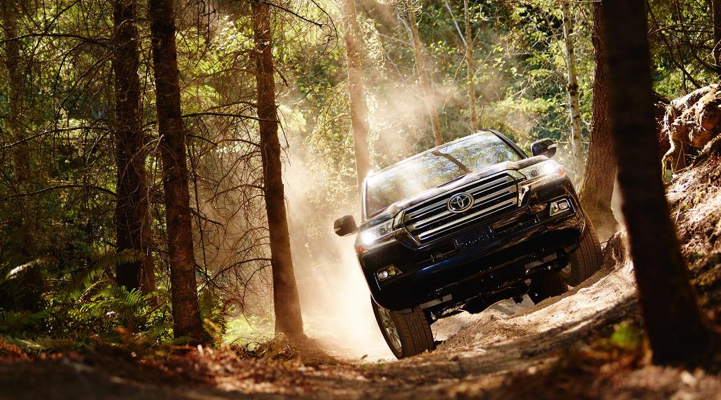 GriffithToyota's tweet photo. Wild ride! https://t.co/60G44Es7w5 https://t.co/bSMjdYtvSM
